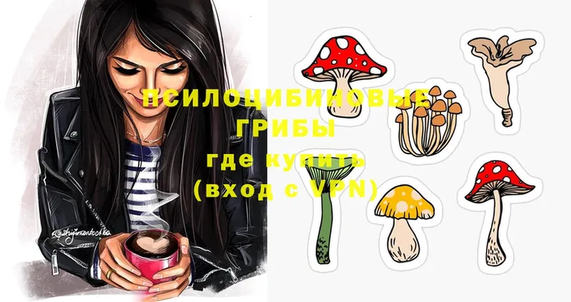 где продают   Олонец  Галлюциногенные грибы MAGIC MUSHROOMS 